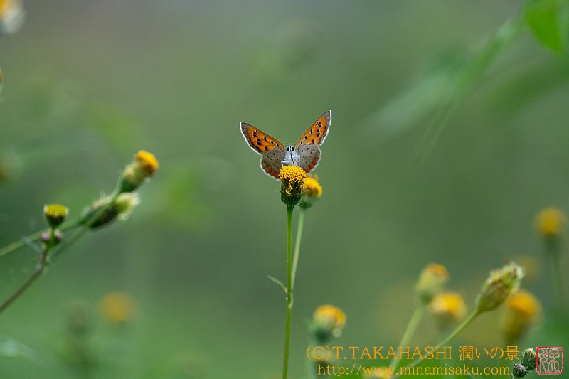 ../Images/7R241027 (124).jpg